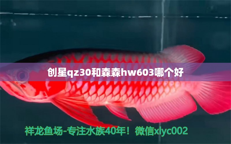 创星qz30和森森hw603哪个好