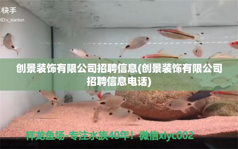 创景装饰有限公司招聘信息(创景装饰有限公司招聘信息电话) 定时器/自控系统