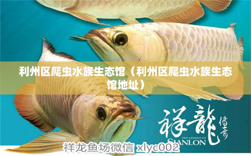 利州区爬虫水族生态馆（利州区爬虫水族生态馆地址） 全国水族馆企业名录