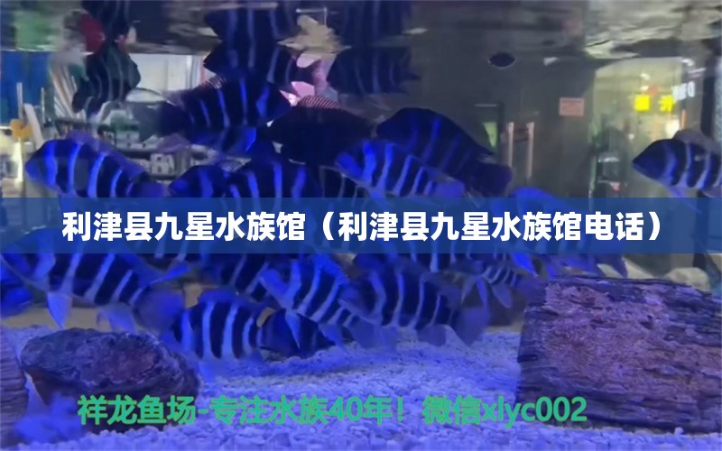 利津县九星水族馆（利津县九星水族馆电话）