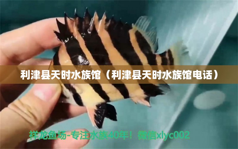 利津县天时水族馆（利津县天时水族馆电话）