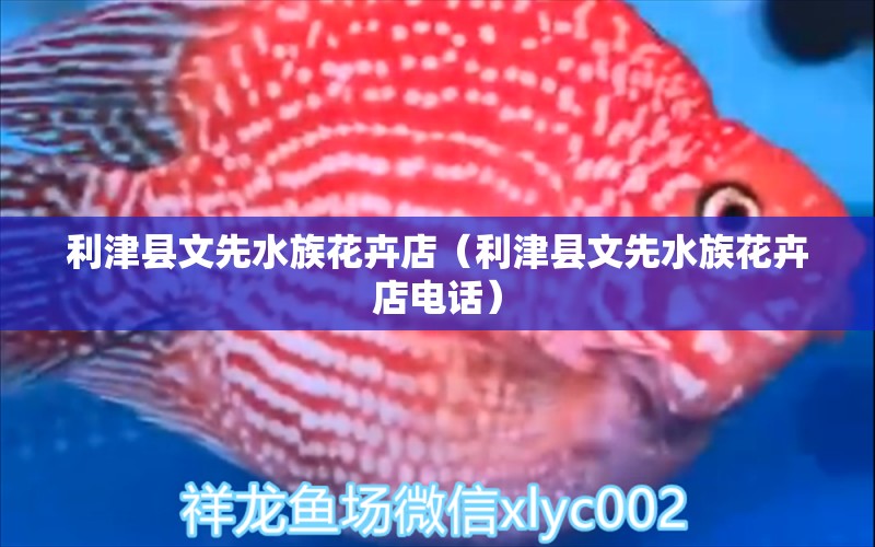 利津县文先水族花卉店（利津县文先水族花卉店电话）