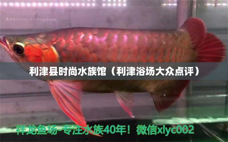 利津县时尚水族馆（利津浴场大众点评） 全国水族馆企业名录