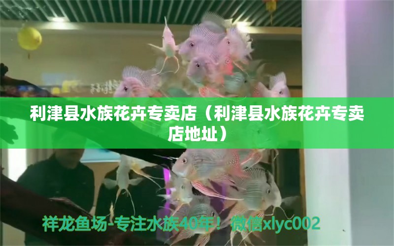 利津县水族花卉专卖店（利津县水族花卉专卖店地址） 全国水族馆企业名录