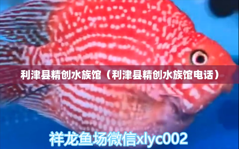 利津县精创水族馆（利津县精创水族馆电话）