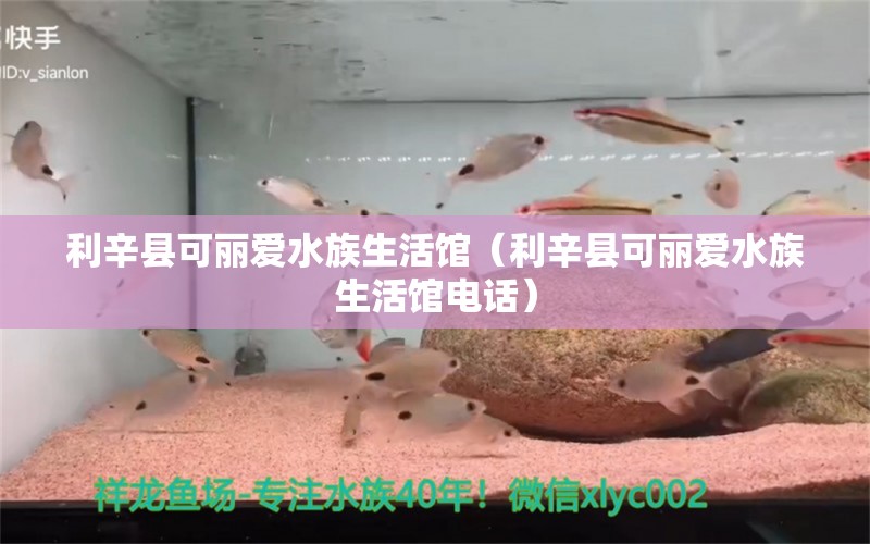 利辛县可丽爱水族生活馆（利辛县可丽爱水族生活馆电话） 全国水族馆企业名录