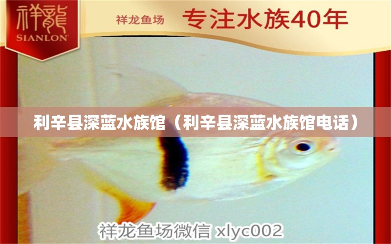 利辛县深蓝水族馆（利辛县深蓝水族馆电话） 全国水族馆企业名录