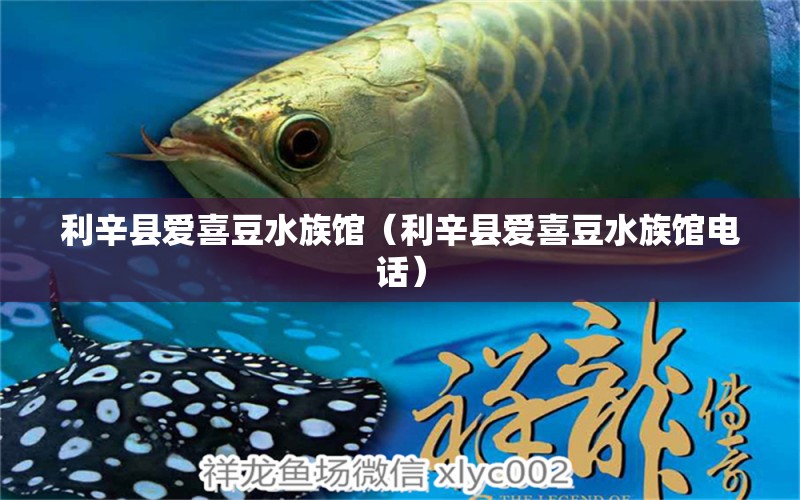 利辛县爱喜豆水族馆（利辛县爱喜豆水族馆电话） 全国水族馆企业名录