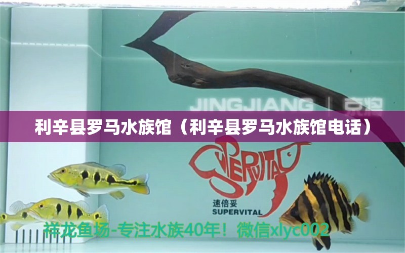 利辛县罗马水族馆（利辛县罗马水族馆电话）