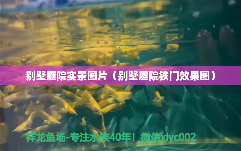 别墅庭院实景图片（别墅庭院铁门效果图） 广州景观设计 第2张