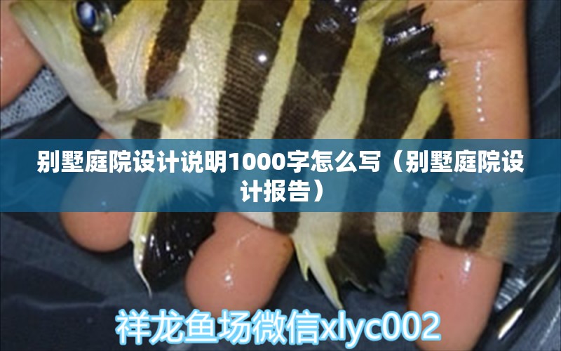 别墅庭院设计说明1000字怎么写（别墅庭院设计报告） 白子黄化银龙鱼