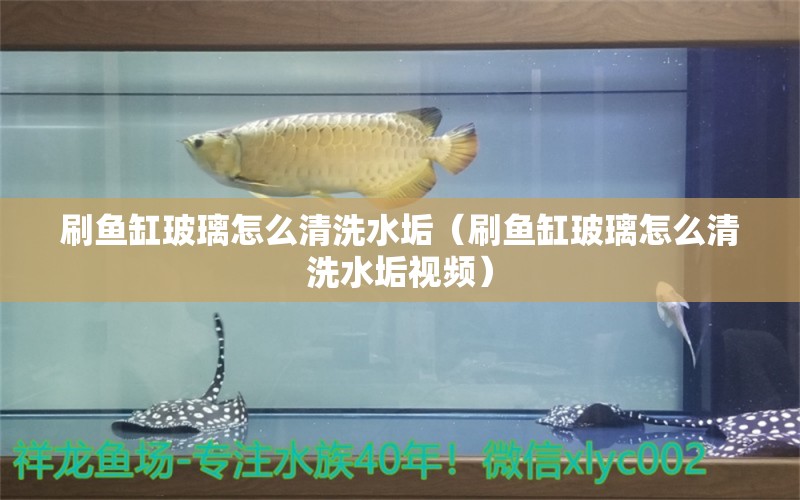 刷鱼缸玻璃怎么清洗水垢（刷鱼缸玻璃怎么清洗水垢视频）