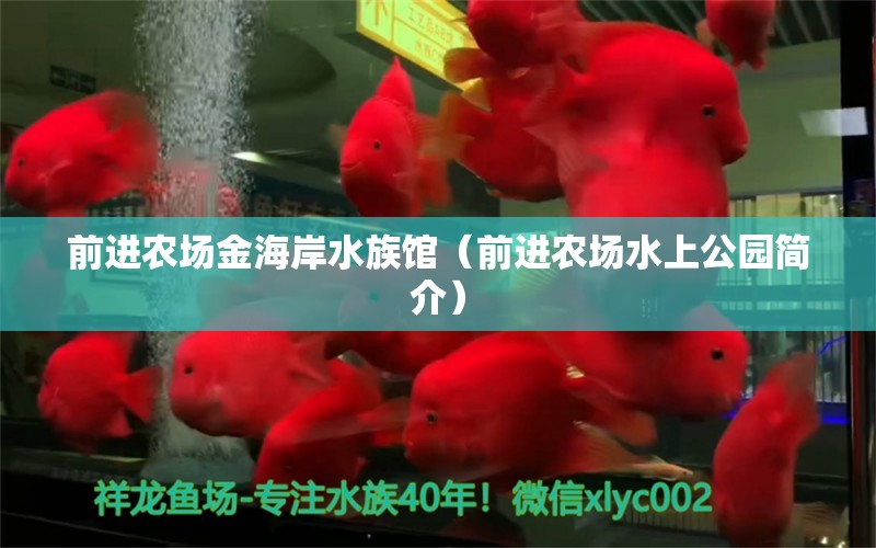 前进农场金海岸水族馆（前进农场水上公园简介）