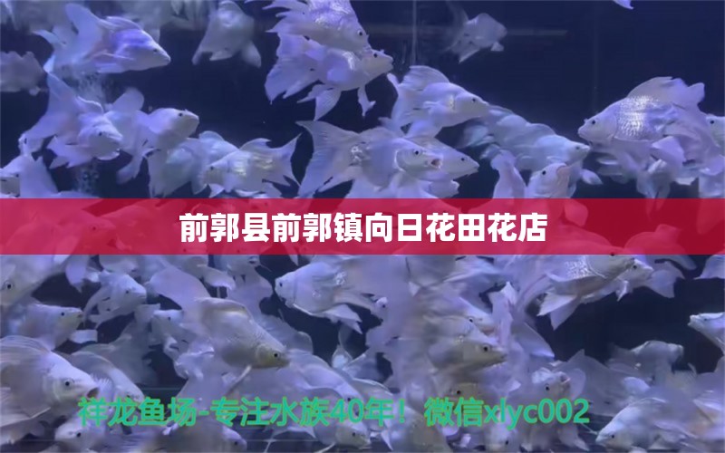 前郭县前郭镇向日花田花店 全国水族馆企业名录