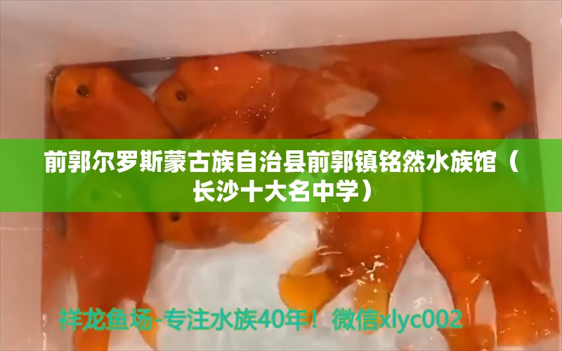 前郭尔罗斯蒙古族自治县前郭镇铭然水族馆（长沙十大名中学）