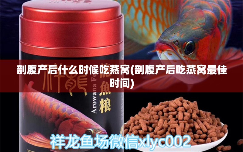 剖腹产后什么时候吃燕窝(剖腹产后吃燕窝最佳时间)