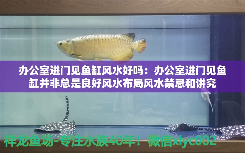 办公室进门见鱼缸风水好吗：办公室进门见鱼缸并非总是良好风水布局风水禁忌和讲究