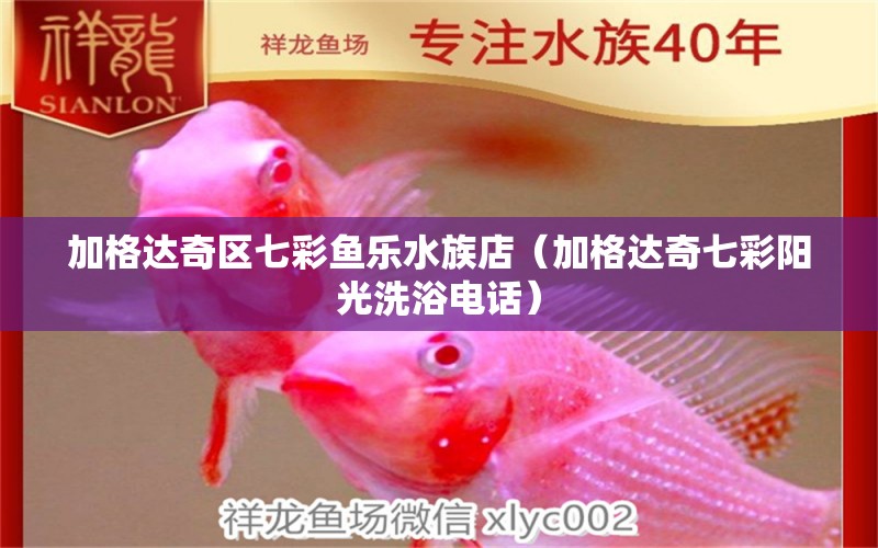 加格达奇区七彩鱼乐水族店（加格达奇七彩阳光洗浴电话）