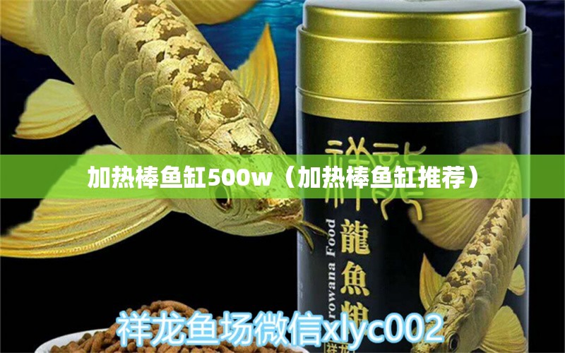 加热棒鱼缸500w（加热棒鱼缸推荐）