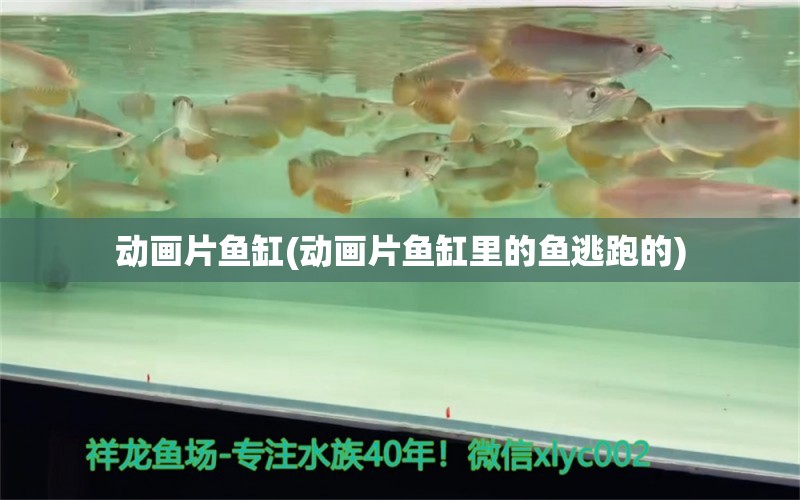 动画片鱼缸(动画片鱼缸里的鱼逃跑的) 鱼缸/水族箱