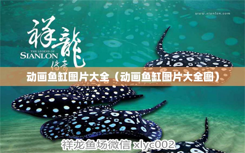 动画鱼缸图片大全（动画鱼缸图片大全图） 祥龙水族医院