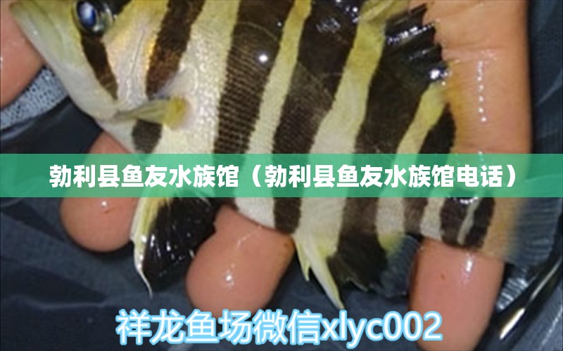 勃利县鱼友水族馆（勃利县鱼友水族馆电话）