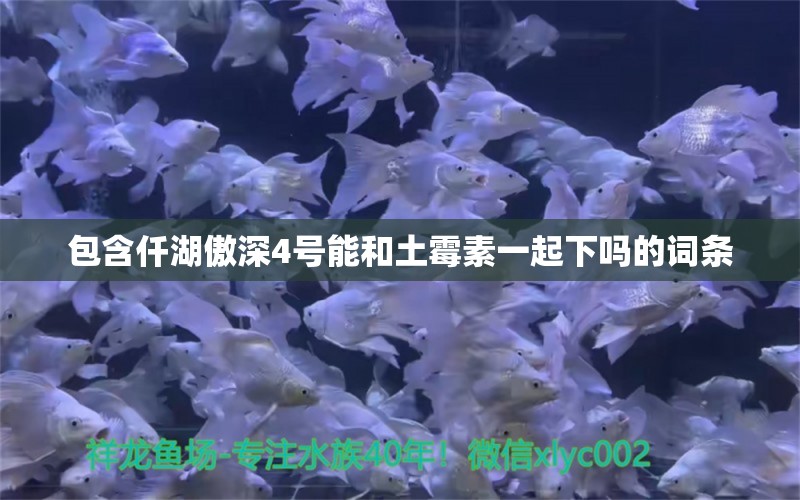 包含仟湖傲深4号能和土霉素一起下吗的词条