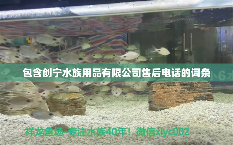 包含创宁水族用品有限公司售后电话的词条 大湖红龙鱼