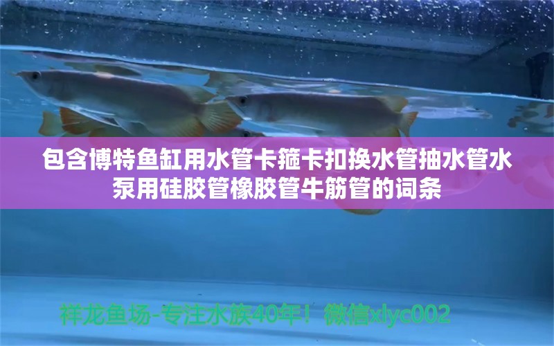 包含博特鱼缸用水管卡箍卡扣换水管抽水管水泵用硅胶管橡胶管牛筋管的词条