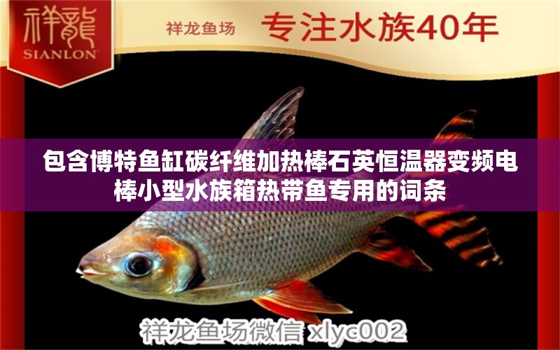 包含博特鱼缸碳纤维加热棒石英恒温器变频电棒小型水族箱热带鱼专用的词条