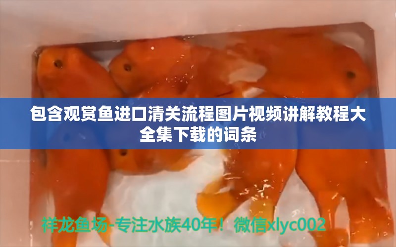 包含观赏鱼进口清关流程图片视频讲解教程大全集下载的词条 观赏鱼进出口 第1张