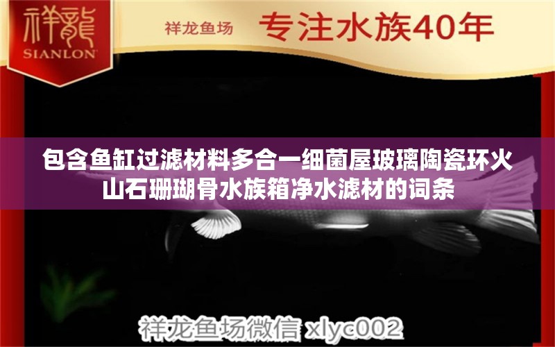 包含鱼缸过滤材料多合一细菌屋玻璃陶瓷环火山石珊瑚骨水族箱净水滤材的词条 鱼缸/水族箱 第1张