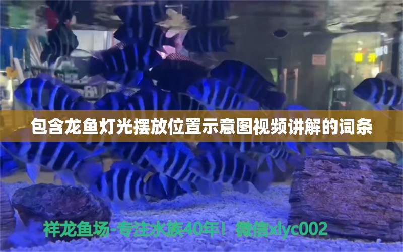 包含龙鱼灯光摆放位置示意图视频讲解的词条 养鱼知识 第1张