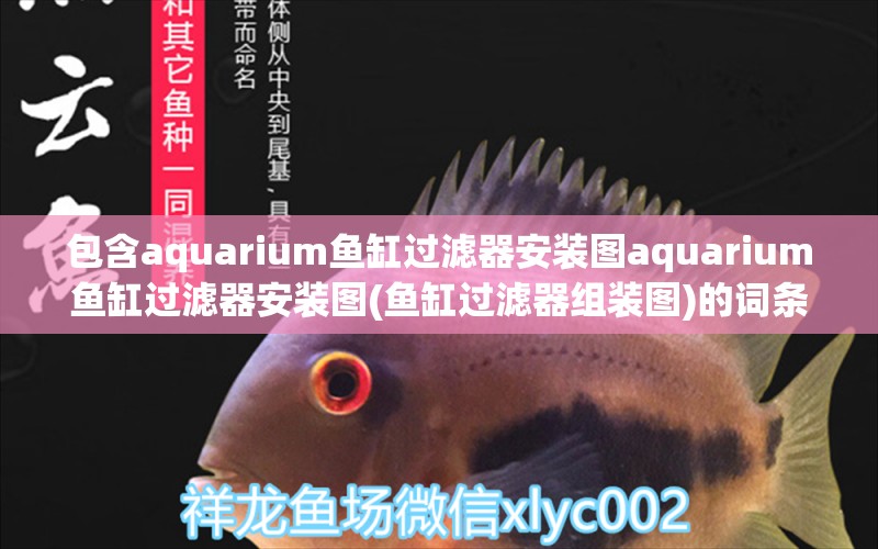 包含aquarium鱼缸过滤器安装图aquarium鱼缸过滤器安装图(鱼缸过滤器组装图)的词条