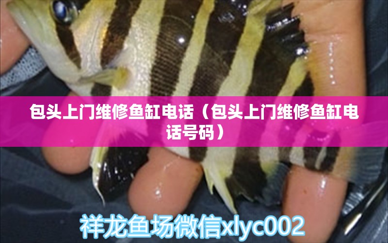 包头上门维修鱼缸电话（包头上门维修鱼缸电话号码） 其他品牌鱼缸