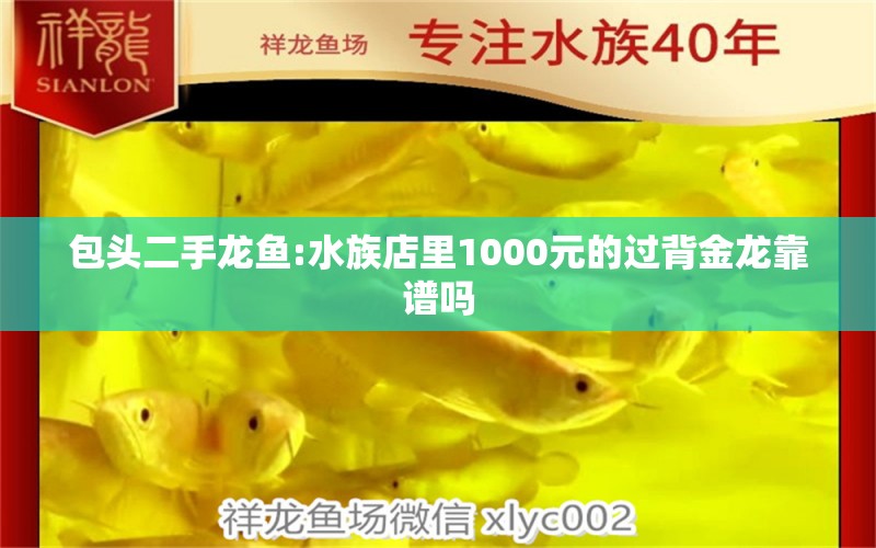 包头二手龙鱼:水族店里1000元的过背金龙靠谱吗