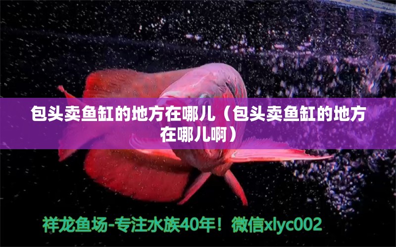 包头卖鱼缸的地方在哪儿（包头卖鱼缸的地方在哪儿啊） 其他品牌鱼缸