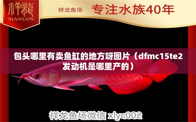 包头哪里有卖鱼缸的地方呀图片（dfmc15te2发动机是哪里产的）