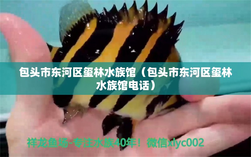 包头市东河区玺林水族馆（包头市东河区玺林水族馆电话） 全国水族馆企业名录