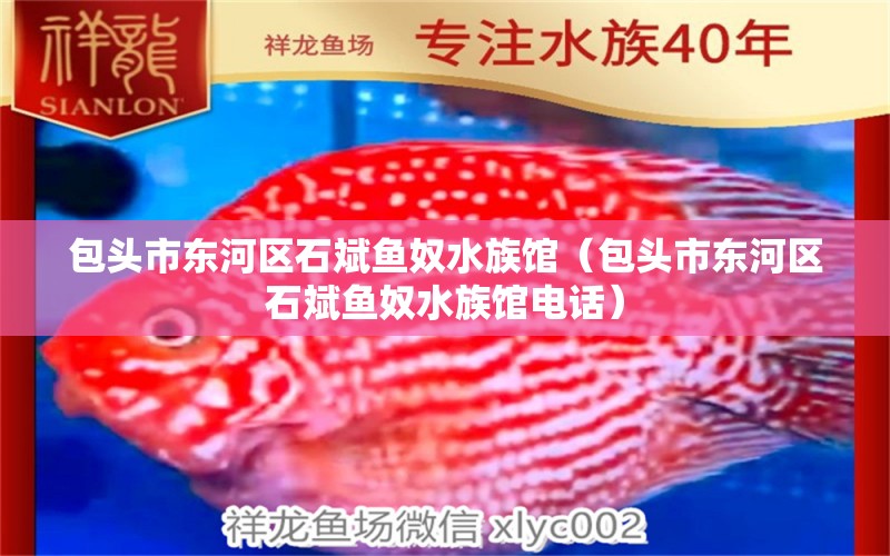 包头市东河区石斌鱼奴水族馆（包头市东河区石斌鱼奴水族馆电话）