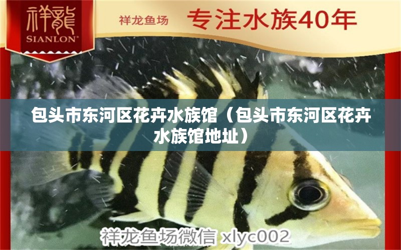 包头市东河区花卉水族馆（包头市东河区花卉水族馆地址）