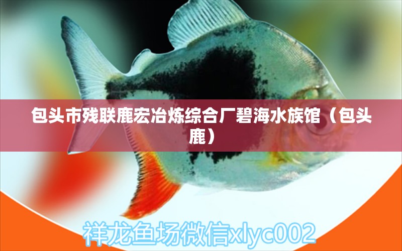 包头市残联鹿宏冶炼综合厂碧海水族馆（包头鹿）