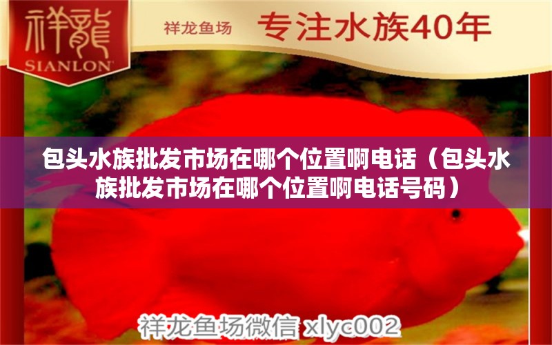 包头水族批发市场在哪个位置啊电话（包头水族批发市场在哪个位置啊电话号码）