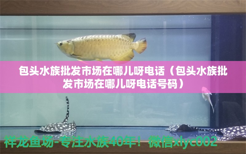 包头水族批发市场在哪儿呀电话（包头水族批发市场在哪儿呀电话号码）