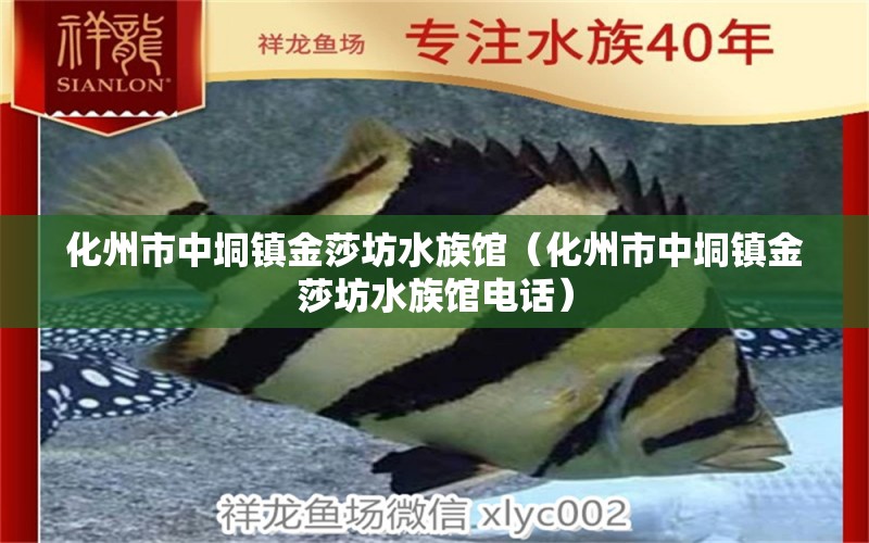 化州市中垌镇金莎坊水族馆（化州市中垌镇金莎坊水族馆电话） 全国水族馆企业名录