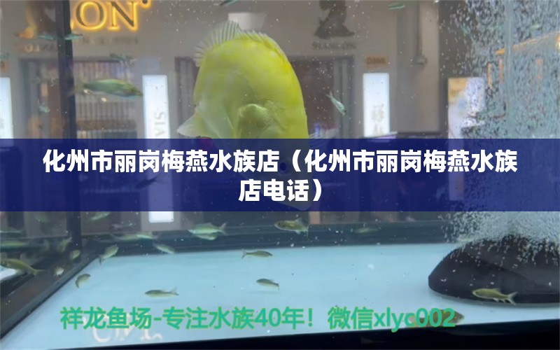 化州市丽岗梅燕水族店（化州市丽岗梅燕水族店电话）