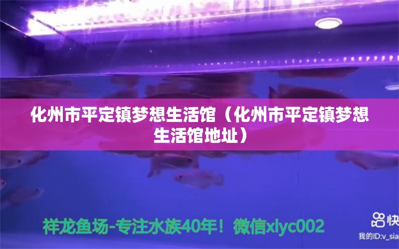 化州市平定镇梦想生活馆（化州市平定镇梦想生活馆地址）