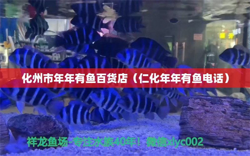 化州市年年有鱼百货店（仁化年年有鱼电话） 全国水族馆企业名录