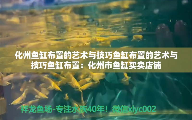 化州鱼缸布置的艺术与技巧鱼缸布置的艺术与技巧鱼缸布置：化州市鱼缸买卖店铺 鱼缸百科 第2张