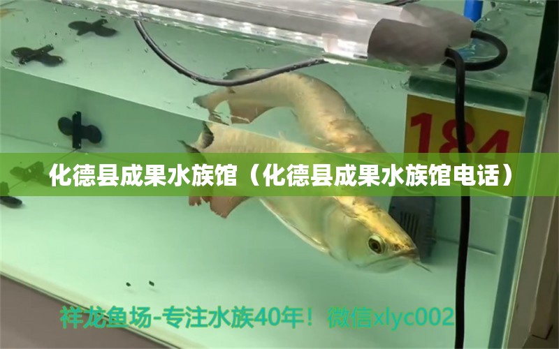 化德县成果水族馆（化德县成果水族馆电话） 全国水族馆企业名录